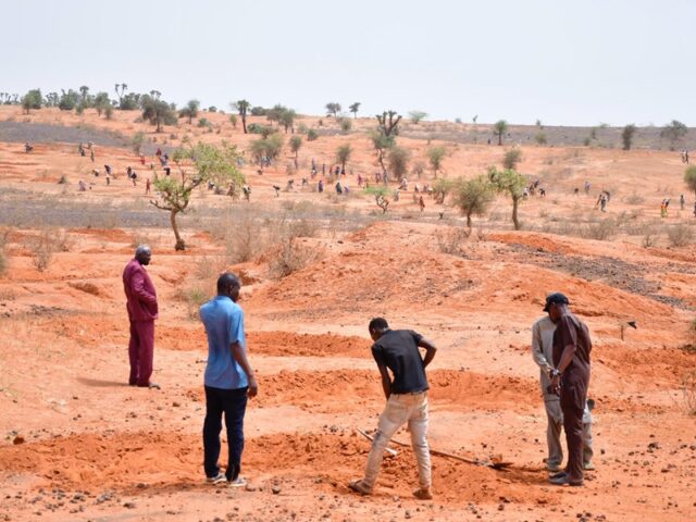 Restauration des terres à Goudrio et Lontia Béri La résilience au cœur du projet NAVARRA-24