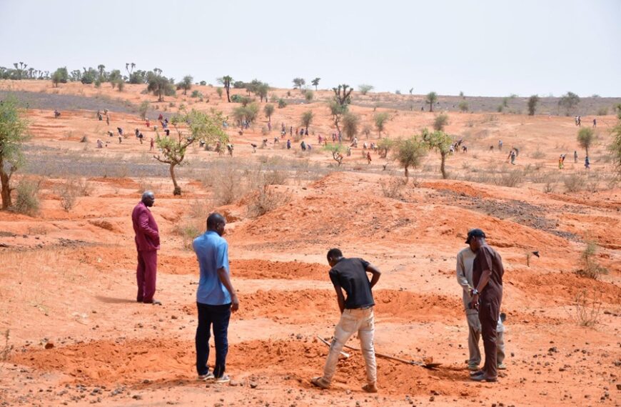 Restauration des terres à Goudrio et Lontia Béri…