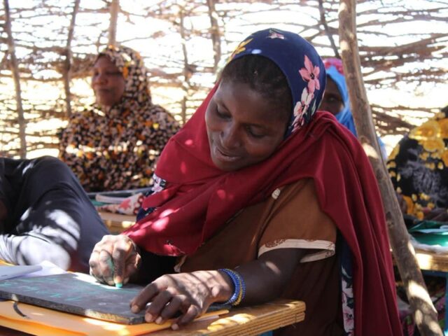 L&rsquo;apprentissage des adultes, catalyseur d&rsquo;autonomie et moteur de développement rural au Niger