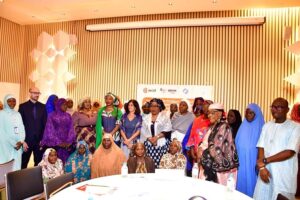 Prévention des crises au Niger, vers une feuille de route nationale pour le leadership des femmes médiatrices